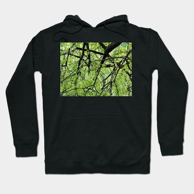 Green Tree Branches Hoodie by Cynthia48